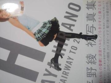 nq̒̐lI숻ʐ^WuHv