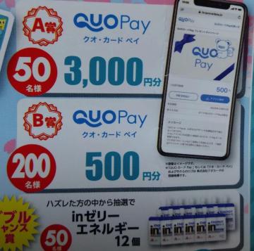 QUO�J�[�hPay������/1��