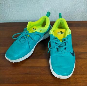 24.5cm iCL AJ}C StV[Y NIKE AKAMAI Õi