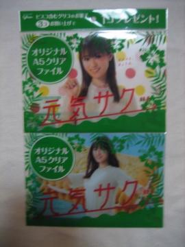 深田恭子 オリジナルA5クリアファイル全2種セット  グリコ イオン