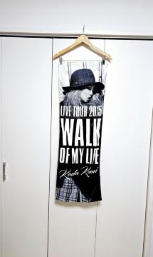 (3) cҖ LIVE TOUR 2015 WALK OF MY LIFE X|[c^I ʃvg
