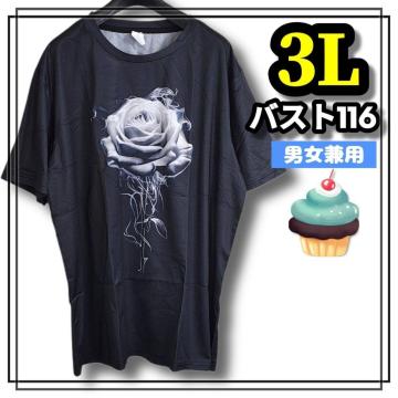 傫TCY Y fB[X  TVc I[o[TCY VbN [h JWA KN [Y 3L
