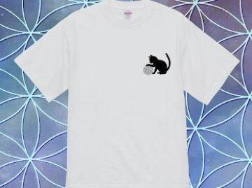 nCNIeB[ TVcL t[IuCt _􉽊w