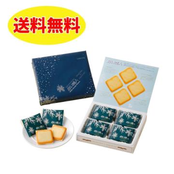 �y12���z�������l �z���C�g �������� �k�C���y�Y ISHIYA�i�Ή����فj