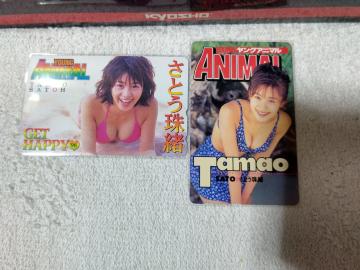 �ڶ 50�x�� ���Ƃ��쏏 '98 �ݸޱ��� W ���g�p ����ݸ