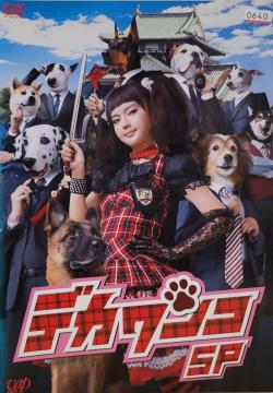DVD fJR  SP