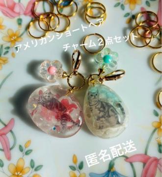 �A�����J���V���[�g�w�A�@���Ɛ�`���[���@2�Z�b�g�@��������