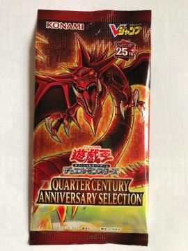 VY IVX̓V 25th JpbN QUARTER CENTURY ANNIVERSARY SELECTION
