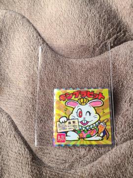 �����n�r�b�N���}���V�[���@�����{�ҁ@NO.7�@�L���O���r�b�g