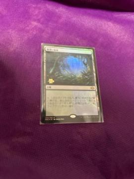 MTG FOIL ���[���J�с@�v����