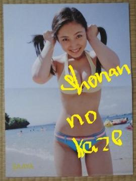 �Ɛg����̎ш��̋M�d�r�L�j�����̗��ʃ|�X�^�[