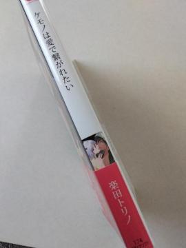 Pm͈Ōqꂽ^ycgm