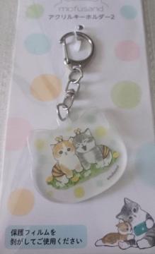 ���t�T���h�@�L�[�z���_�[�������݁@