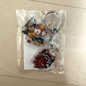 DMMXNb`! Crazy Raccoon D܁u2AANL[z_[