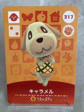 ���܂� �ǂ��Ԃ̐X�i���X�j amibo�J�[�h �L��������