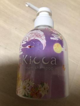 kicca N[Vv[380g