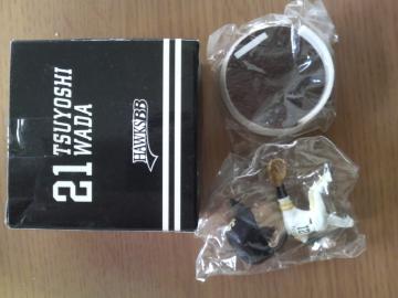 �\�t�g�o���N�z�[�N�X�@�t�B�M���A�@�Q�P�a�c�B�@���J��