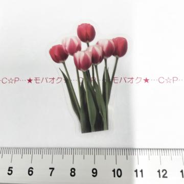 �`���[���b�v�̺װ�ޭ��ف@344