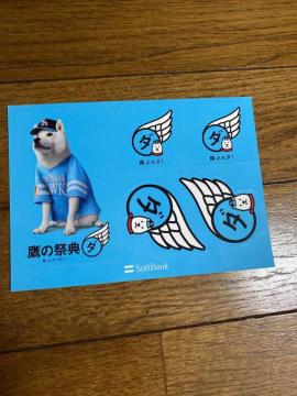 SoftBank̍ՓTV[F