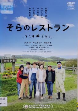 DVD ̃Xg