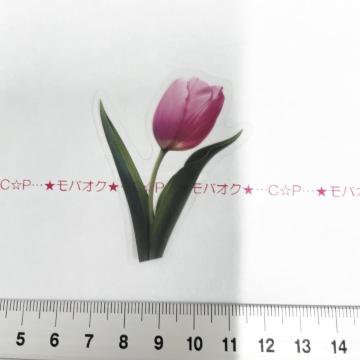 �`���[���b�v�̺װ�ޭ��ف@348