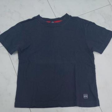 GAP120