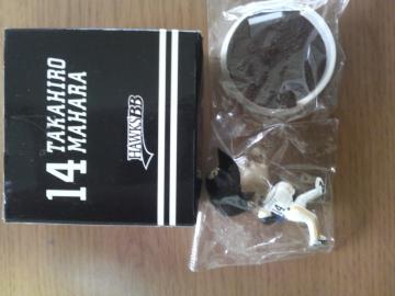 �\�t�g�o���N�z�[�N�X�@�t�B�M���A�@�P�S�n���F�_�@���J��