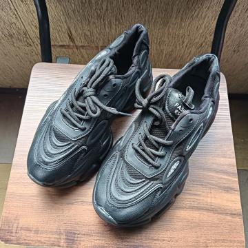 Vi 24cm fB[X Xj[J[ ubN V[Y C 