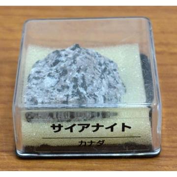 yzfBASXeB[j gW[Xg[ TCAiCg Ji_ zW{̂ qȂ