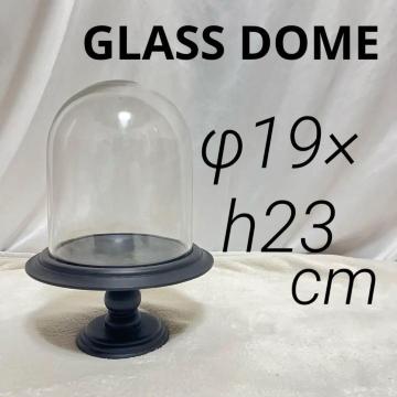 KXh[ KXP[X   c ^ ؐ 23cm G GLASS DOME fBXvC