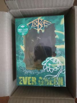 EVER GREEN���񐶎Y�����