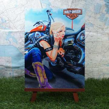 ViyuLŔzHarley-Davidson^n[[_rbh\@Finishing Touch@-Nostalgic-