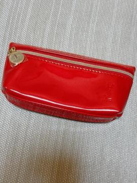 Yves Saint Laurent �ԃ|�[�`