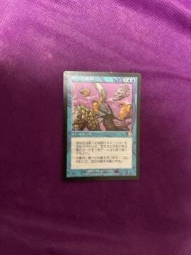 MTG ������w�}