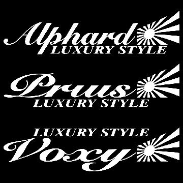 旭日 NBOX LUXURY STYLE  30センチ