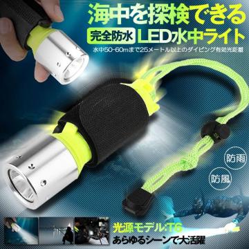 LEDg[`d _CrOCg d Cg
