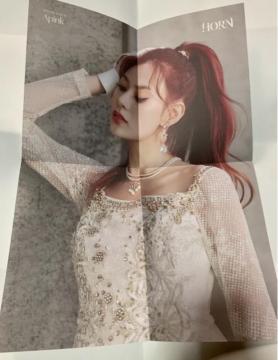 Apink �i���W���@�����܂��݃|�X�^�[�@HORN