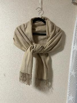 �V�iJUSGLITTY���u���[�`�t���X�g�[��