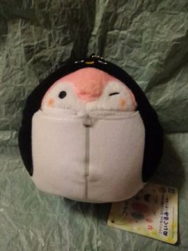 REy񁡃Joɕtʂ݁`݁`