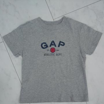 GAP120