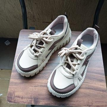 Vi 23.5cm Xj[J[ uE V[Y C JWA fB[X