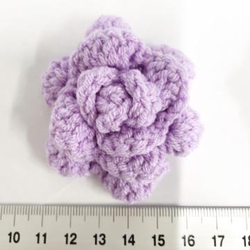 22*����Ҳ�ށ􊪂��K�N���́@19