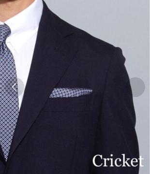 C^AVN100|Pbg`[tyVi^OtzCricketNPbgu[