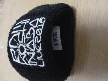 B'z ��t�_�u 2016 en�V �K�`�� ���X�g�o���h ���J��