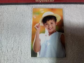 �ж �{�c���ގq