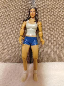 �J���@���Á@WWE�t�B�M���A �����[�i�@�f�B�[�o