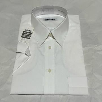 �y�ۊǖ��g�p�z S'RIBBON �����h���X�V���c �� 39cm ���{�� �ܖh�k ���C�V���c �r�W�l�X �G�X���{��