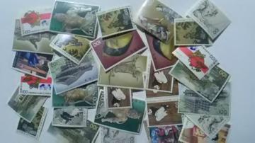 100~؎31Vigpi  10031Q9