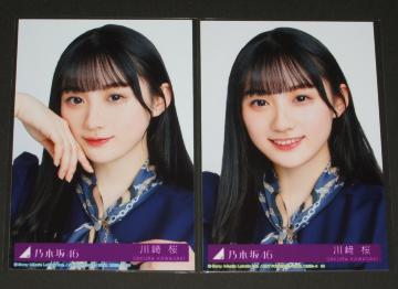 �T�؍�46�@���ЂƂ肳�ܓV���@���ʐ^�Q���@����