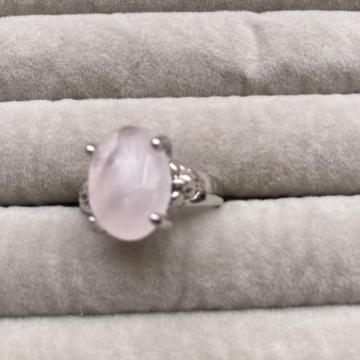 �V�R�Ύw�ց@�����O�@17��